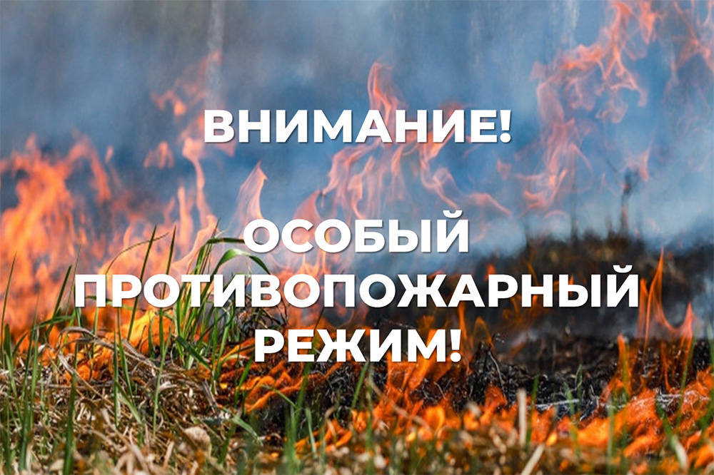 С 28 апреля на территории Усть-Ишимского района будет введён особый противопожарный режим.