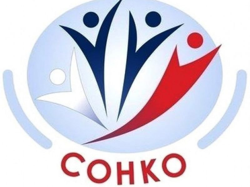 Отбор на предоставление субсидии социально ориентированным некоммерческим организациям, осуществляющим деятельность в Усть-Ишимском муниципальном районе Омской области.